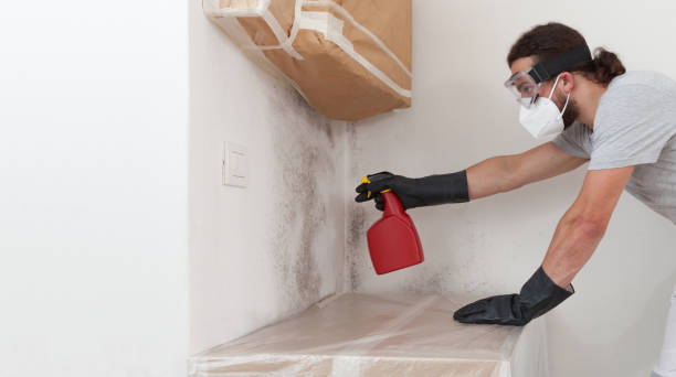 Professional Hvac And Air Duct Mold Remediation technician working in Sayreville, NJ